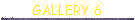 GALLERY 6