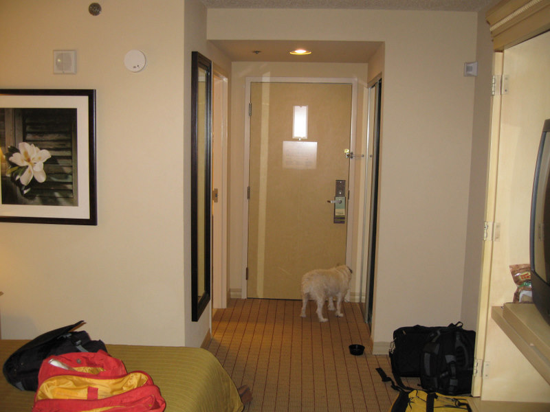 The Nice Room